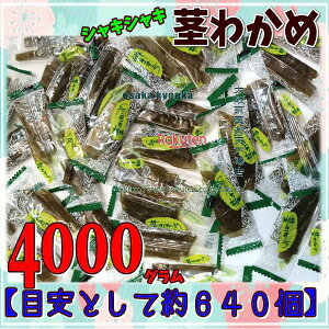 ㋞يyVsXZR OEΈ@4000OyڈƂĖ640z  VLVL s킩 ×1܁yfua5zyi͕ʓrjz