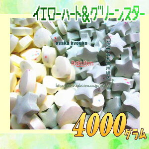 ㋞يyVsXZR OEΈ@4000O CG[n[g&O[X^[ uhEl Ԃԃ~c ×1܁yfus5zyi͕ʓrjz