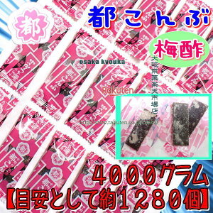 ㋞يyVsXZR앨Y@4000OyڈƂĖ1280z ~| s s[  |z ×1܁yfua5zyi͕ʓrjz