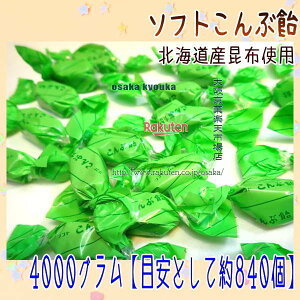 ㋞يyVsXZR OEΈ@4000OyڈƂĖ840z Iu[gɂ܂ꂽ \tgԈ ×1܁yfua5zyi͕ʓrjz