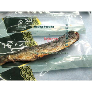 ㋞يyVsXZR OEΈ@4000OyڈƂĖ880z Ă 򋛂̊Ă ×1܁yfus5zyi͕ʓrjz