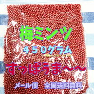 【メール便送料無料】大阪京菓楽天市場店ZRおかし企画　OE石井　450グラム【目安として約5400粒】 梅ミン…