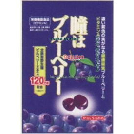 大阪京菓 ZRx川口製菓　83G 瞳はブルーベリー×160個【xr】【送料無料（沖縄は別途送料）】