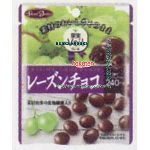 レーズン チョコの人気商品 通販 価格比較 価格 Com