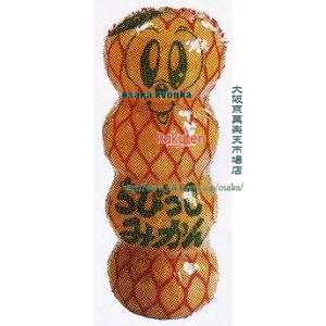 ㋞ ZRxII@8G т݂×480yxa5zyi͕ʓrjz