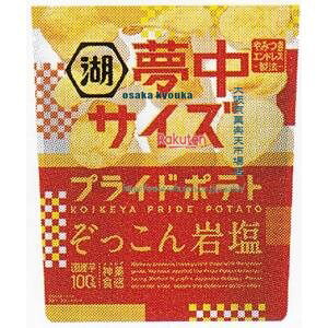 大阪京菓 ZRxコイケヤ 102G 夢中サイズ湖池屋プライドポテトぞっこん岩塩×12個【xa5】【送料無料(沖縄は別途送料)】
