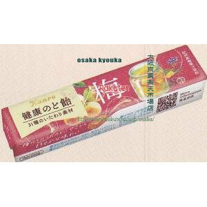 大阪京菓 ZRxカンロ 11粒 梅のど飴×120個【xecoa5】【エコ配 送料無料 (沖縄県配送不可 時間指定と夜間お届け不可)】