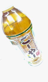 【送料無料】　ごーやー茶　500ml　pet　24本入