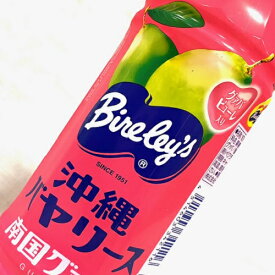 【送料無料】　沖縄バヤリース　南国グァバジュース　500ml　24本入　沖縄限定