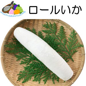 Ⓚ[ 5kg 8{ 1{600`700g  Ɩp AJCJ p