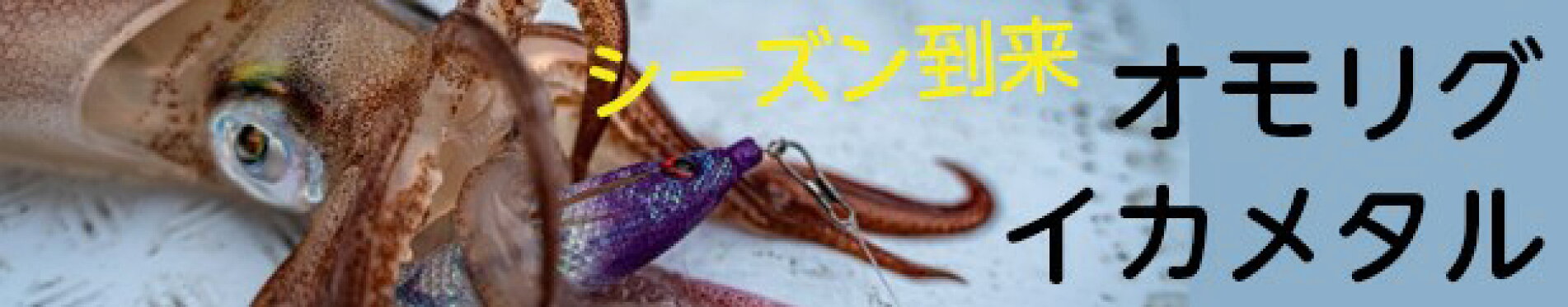 シーズン到来　イカ釣り