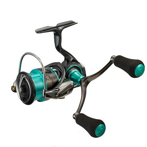 _C 21 G_X GA FC LT2500S-DH XsjO[ daiwa