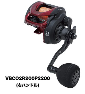 vbNX ogBCINgpX2 PEC2 200mZbg VBCO2R200P2200(Enh)/VBCO2L200P2200(nh) D^R ^RGM PROX