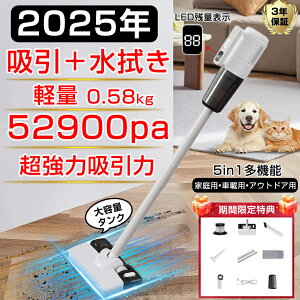 yz|@ R[hX y 52900paz ͋z z@ TCN   USB-TypeC[d eʃ^N ԗp|@ HEPAtB^[ y nfBN[i[ XeB