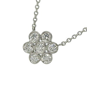 TIFFANY & Co. eBt@j[ K[ft[ _C lbNX Pt950 v`i _Ch 41cm  ANZT[ fB[X  241001024813 