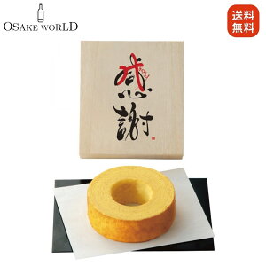  oEN[w(ؔj523g kCY100N[ Mtg 