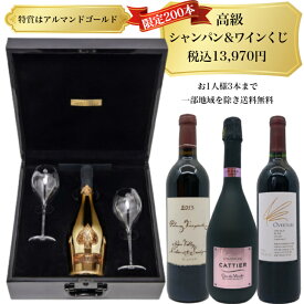 【送料無料】高級シャンパン＆ワインが当たるお楽しみくじ！おひとり様3本まで！特賞はアルマンドゴールド！
