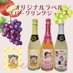 IWix Xp[NOW[X@750ml iuhE^ԃuhE^񂲁j ʐ^ O t bZ[Wēʂȃ{g쐬