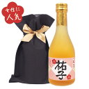 【名入れ プレゼント】 名入れ梅酒 300ml 不織布リボン付きバック入り 【手書きラベル】【名入れ】【名前入り】【贈り物】【ギフト】【プレゼント】【お祝い】【...