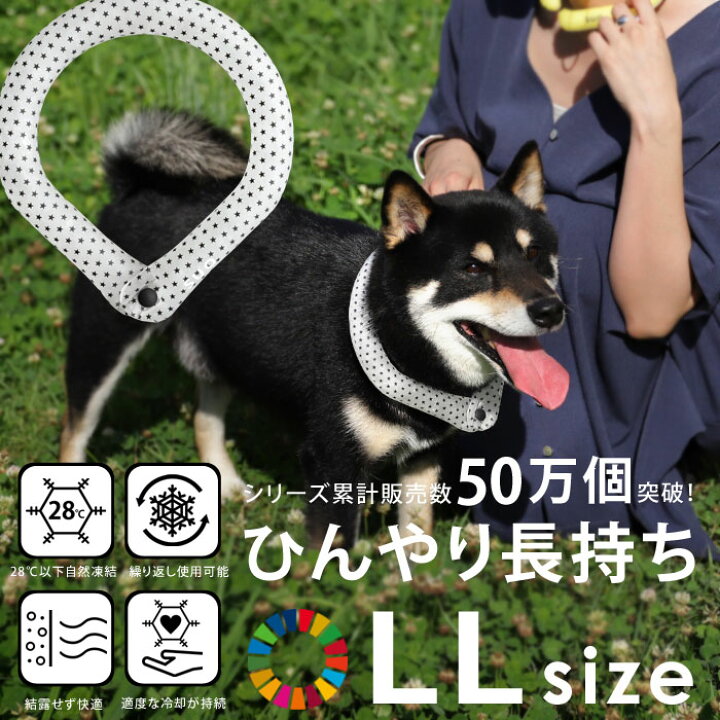 楽天市場 クールリング ペット用 28 Llサイズ 犬 冷感 冷たい ひんやり 結露しない 繰り返し使える エコ ネッククーラー Cool Ring 愛犬 ペット用品 ペットグッズ 中型犬 大型犬 ポメラニアン 柴犬 黒柴 キッズ 散歩 暑さ対策 夏 おしゃれ プレゼント Suo メール便可