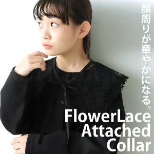 AEgbg 50%OFF [Xt  t ꂢ LbY q WjAE(50)[։ TOY fewy258Bz