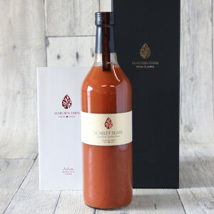 y}Zt@[zuXJ[bgEeBA[Y(S[hx)vyōg}gW[Xz