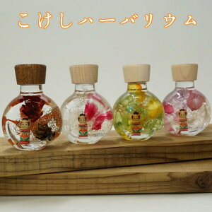 yqzn[oE{錧@s@q@@`H|i@n[oE