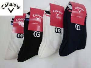 yz{Ki 2024 LEFC fBX V[g \bNX T|[g! C24193209