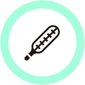 ̉v 6mm ACR   a@ M  ͂ nR CXg J_[ Z V`n^ [7562062]