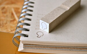 Ԃ₫ X^v ~j  CXg ͂ nR S [1160]