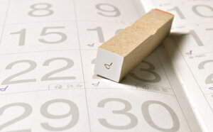 gC}[N 3mm ACR X^v  CXg ɏ ͂ nR S [1198]