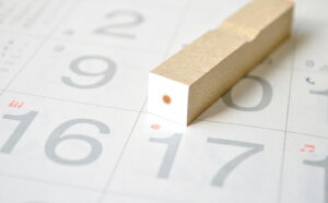 C̓ 3mm ACR X^v  CXg ɏ ͂ nR S [1257]