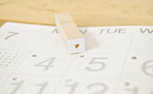 Q[ V Rg[[ 3mm ACR  CXg ɏ ͂ nR S [1318009]