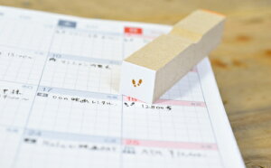  U WMO jO 3mm ACR  CXg ɏ ͂ nR S [1318030]