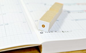 Đ{^ ۖ 3mm ACR  CXg ɏ ͂ nR S [1318032]