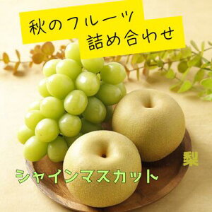 VC}XJbgƗ̃Zbg  Ȃ lߍ킹 l t[c ʕ  v[g 蕨 Ԃ j