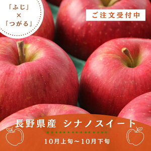 쌧Y  VimXC[g 2kg ь S ʕ H 