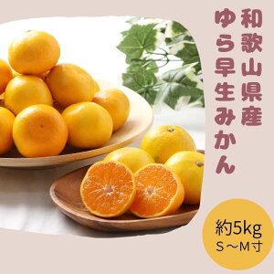 【ポイントUP中3倍】ゆら早生みかん 5kg 果物 フルーツ 秋 旬 みかん 柑橘 贈答 贈りもの 和歌山県 日高郡由良町 蜜柑