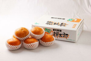 挧Y PY@3kg (7`12ʓ) `  Y ʕ H x 蕨 p Mtg l  