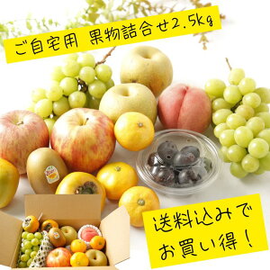 }\P3{@󂠂 ʕl2.5kg p PA ʕ  Ȃ iV VC}XJbg Ԃǂ  uhE t[c {[ l Zbg Ĥ Ԍ