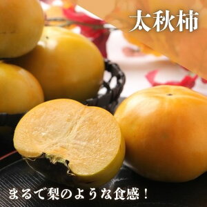 H` 3.5kg 8`13ʓ `  Y ʕ H ܂ 蕨 p Mtg l  