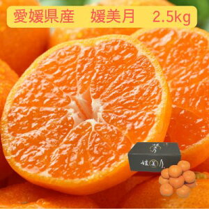 QY Q 2.5kg ʕ t[c H { ݂ k   Ε  Mtg