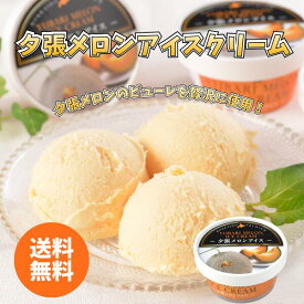 夕張メロンアイスクリーム 送料無料 送料込み 夏の贈り物 ギフト 贈り物 プレゼント 冷凍 メロン アイス 夕張 冷たい ひんやり 夏の楽しみ