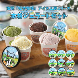 佐賀 松本牧場 アイス工房ミリーズ 本格ジェラートセット m9N 送料無料 送料込み 夏の贈り物 ギフト 贈り物 プレゼント 冷凍 ジェラート アイス ひんやり 種類豊富 珍しい ミリーズ