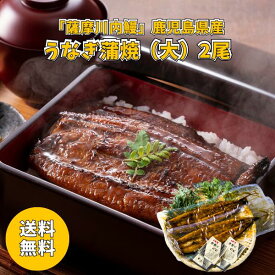 鹿児島 薩摩川内鰻 鹿児島県産 うなぎ蒲焼 大 2尾 KKB2 送料無料 送料込み 夏の贈り物 ギフト 贈り物 プレゼント 冷凍 うなぎ 蒲焼 土用の丑の日 魚 魚料理 タレ付き 山椒