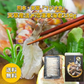 熊本・天草 フジオカ 天草産 活〆冷凍車海老 250g 送料無料 送料込み 夏の贈り物 ギフト 贈り物 プレゼント 冷凍 いけじめ 活〆 車海老 海鮮 甲殻類