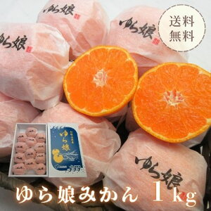 a̎RY 疺݂ 1kgi12`18j ʕ t[c H { ݂ k   Ε  Mtg