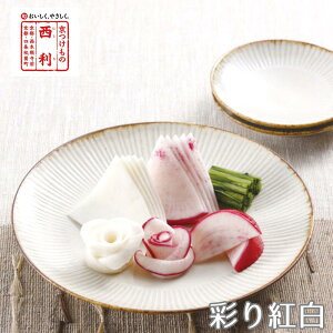  ʂg NSR-30  Ε  v[g j  NNn 