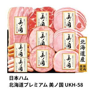 {n kC v~A m UKH-58 Mtg 蕨 Ԃ n ECi[ ē p lߍ킹 lC i Fl e Ƒ e  j j j  