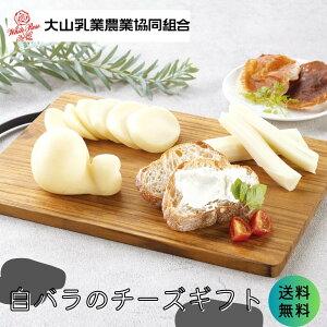 RƔ_Ƌg õ`[YMtg 1Zbg Ε 蕨   J`Jo`[Y Z ~N